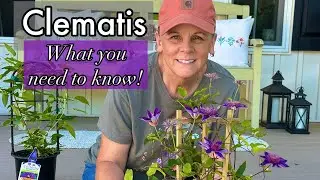 How To Know Which Clematis Group You Have‼️