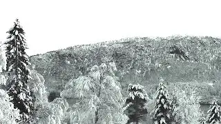 Entranced Stargazer - Four Seasons (&Aring;rstidene)  (New original track)