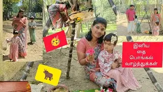 🌾கிராமத்து தை பொங்கல்🌞 | Village Pongal Celebration🥳 | Pongal Festival✨