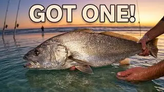 Chasing the Elusive Mulloway in Western Australia