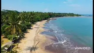 best relaxation video