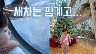 연말에 그냥 놀러다닌 기록📝 제이드가든, 남이섬, 헤븐온어스, 묵리459, 포레스트아웃팅스