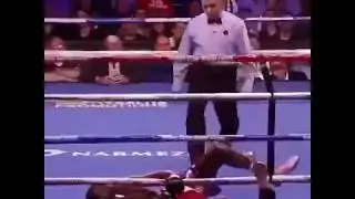 Mason Menard KO's Eudy Bernardo