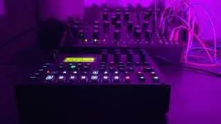 Elektron Digitone, Moog Mother 32 & Moog DFAM - Ambient Synth Session