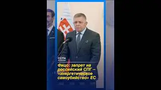 Словакия подаст иск против запрета ЕС на российский газ