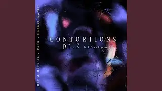 Contortions Pt. 2