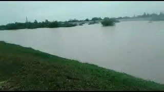 Crişul Negru.Zerind.jud.Arad 10m.&icirc;naltime