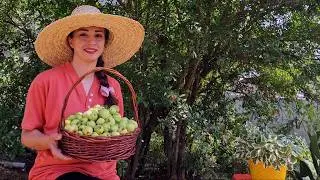 Village Life Vlog | Country Breakfast, Apple Picking, DIY Yard Work & Traditional Dessert
