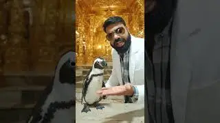 pegbin research asli ya nahi #youtube #viral #reels