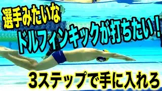 Level up to a real dolphin kick! Levels 1-2