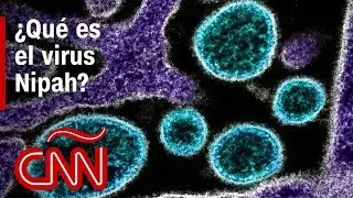 &iquest;Qu&eacute; es el virus Nipah y cu&aacute;les son sus s&iacute;ntomas?
