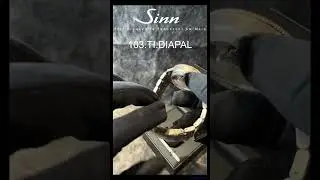 【Sinn】オイル不要の脱進機!? 究極のチタン時計 103.TI.DIAPAL 開封＆レビュー #Shorts #sinn #ドイツ時計