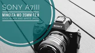 Sony a7III + Minolta MD 35mm f2.8 (SOOC JPEGs / Picture Effect: high contrast monochrome)