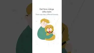 talk about dog in Swedish. learn swedish