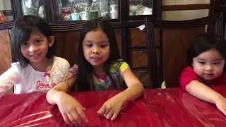 Noah's Ark Toy Review