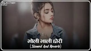 2 Number Ko Dhandho Tere Yaar Ko || (Slowed+Reverb)  भोली भाली छोरी Rajasthani Song New Marwadi Song