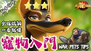 【萬龍覺醒】不養寵物？那你就虧大了｜Call of Dragons War Pets Tips