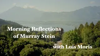 Murray Stein - On Psychedelics