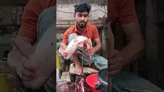 Amazing Pangash Fish Cutting Skills #shorts #wfc #fish_cutting_bd