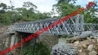 American Standard Compact Type 100 Prefabricated Steel Bailey Bridge Equiv
