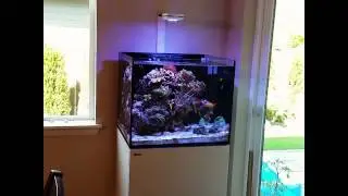 2 month update Red Sea Reefer 170