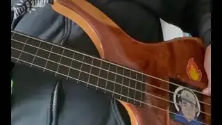 EQD Blumes & fretless