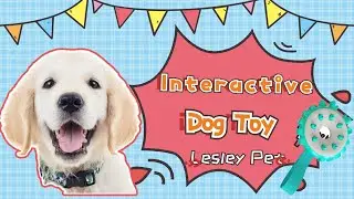 Lesley Pet Durable TPR Dog Toy Frisbee