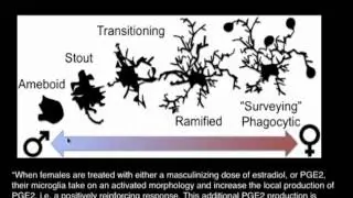 Bruce Ransom, M.D., Ph.D. - Five 'New Things' in Clinically-relevant Neuroscience