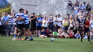 Nudgee College 1st XV 2015 (Official)