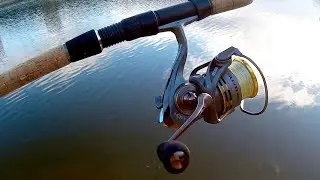 Матчевая удочка Daiwa Aqualite M420ML.