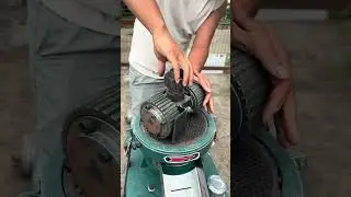Feed Pellet Machine with Inclined Rollers for Balanced Pressure and Extended Durability