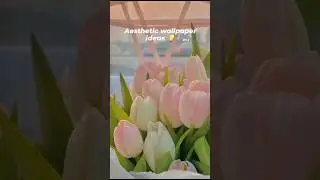 ideas for aesthetic wallpapers #aesthatic #love #aestheticgirl #fashionstyle #aestheticfashion