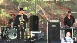 I Cant say No (Roberts) Daryl Roberts & Hey Gringo Live at Sydney Blues & Roots Festival