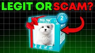 Milow Robot Puppy: Is This 