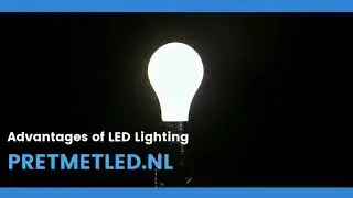 Advantages of LED Lighting | Pretmetled.nl | Lighting Solutions