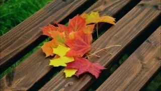 Leaves from Australian forests by Henry Kendall, audiobook