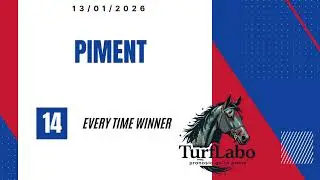PRONOSTIC QUINT&Eacute; IMBATTABLE PRIX DE BRIONNE (13/01) 3 BASES S&Ucirc;RES + L'OUTSIDER ! #quint&eacute; #turf #pmu