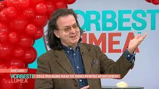 Cele mai bune rase de pisici pentru apartament