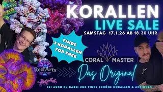 🐠 LIVE Korallen Sale beim CORAL MASTER in Wiesbaden 🪸 | Exklusive Rarit&auml;ten & 3 Korallen for Free 🌊
