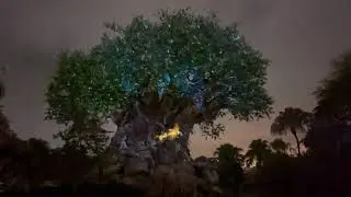 Walt Disney World Animal Kingdom- Tree of Life Awakenings Full Video in 4K!