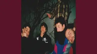 NAFTALINA