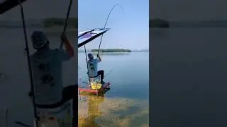 I caught a big grass carp fish🐟 Best fishing video🎣
