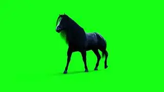 Horse Running Green Screen | Horse Stampede Green Screen | Horse Running | TheAnimalStoreGreenScreen