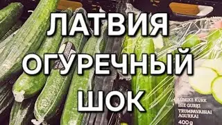 Огурцы в Латвии по цене айфона.