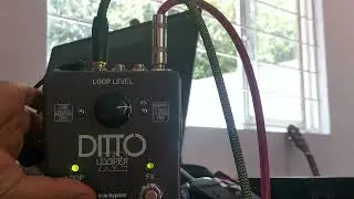 TC ELECTORNICS. Ditto LOOPER X2  venta Mercado libre