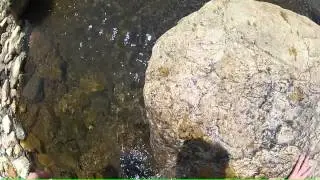 I fall crossing the creek