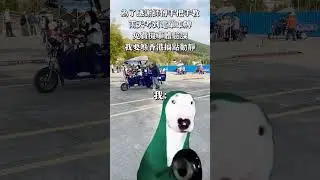 搞點動靜#學牌