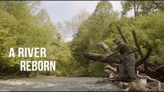 A River Reborn
