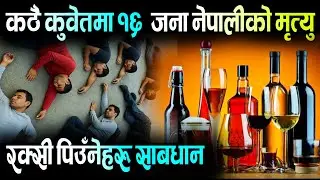 कठै कुवेतमा रक्सी पिउँदा अहिले सम्म १६ जनाको मृ'त्यु | Kuwait News In Nepali, ABC Khabar 
