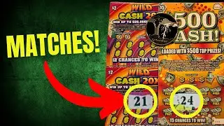 WINNING Matches! 🪙 Wild Cash 20X and $500 Cash Lottery Scratch Off Tickets! 💰
